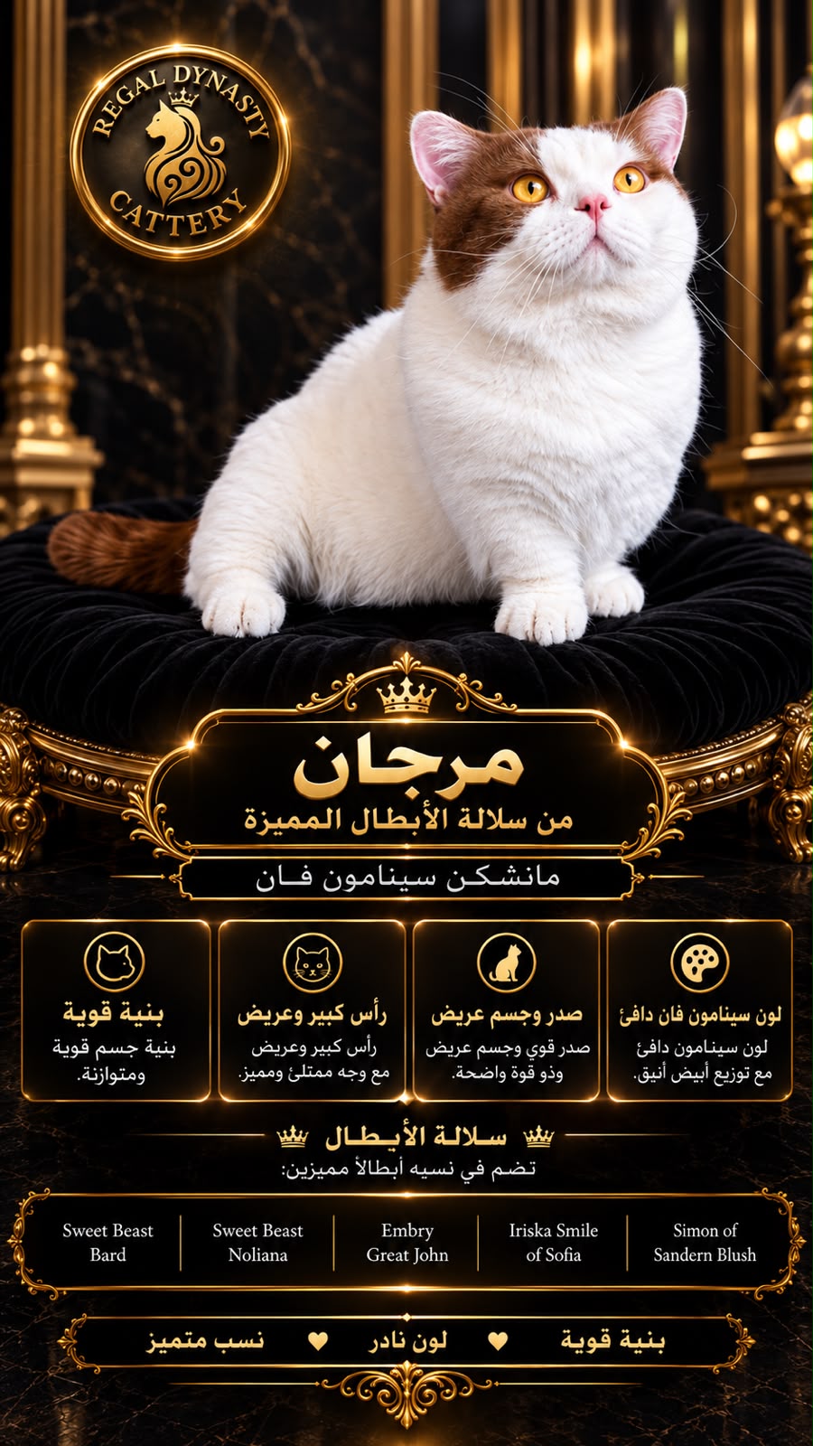 Female Munchkin – Short Legs - Image 10